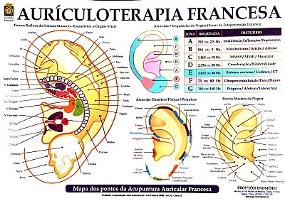 Auriculoterapia Francesa ( BLOCO 2)