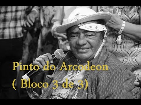 Pinto do Arcodeon (Bloco 3 de 3) - Tv Tudo Web - Darci Martins